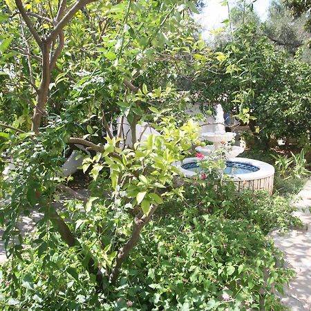 Villa Aphrodite Nissaki Νησάκι Εξωτερικό φωτογραφία